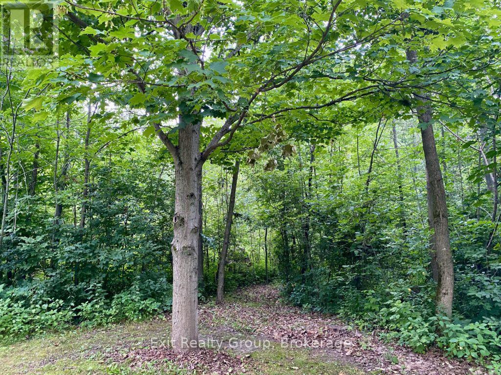 15369 Little Lake Road, Brighton, Ontario  K0K 1H0 - Photo 37 - X13592654