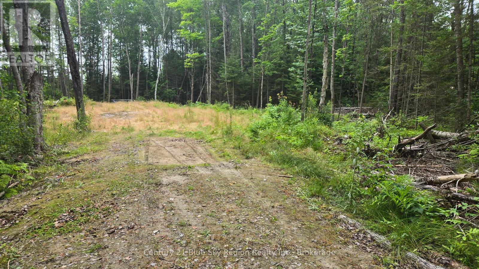2438 Village Road, Chisholm, Ontario P0H 1Z0 - Photo 3 - X13593132