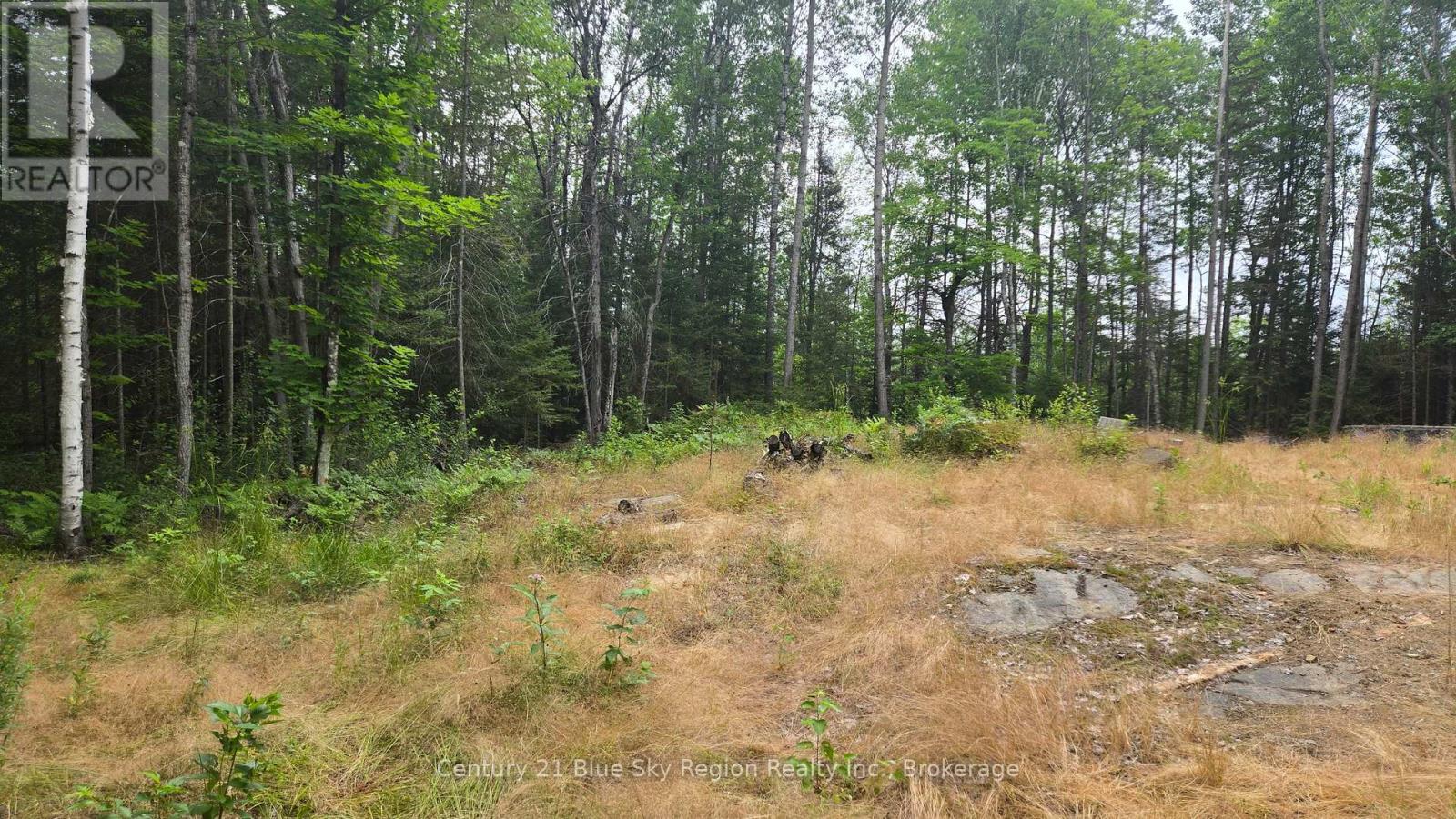 2438 Village Road, Chisholm, Ontario P0H 1Z0 - Photo 4 - X13593132
