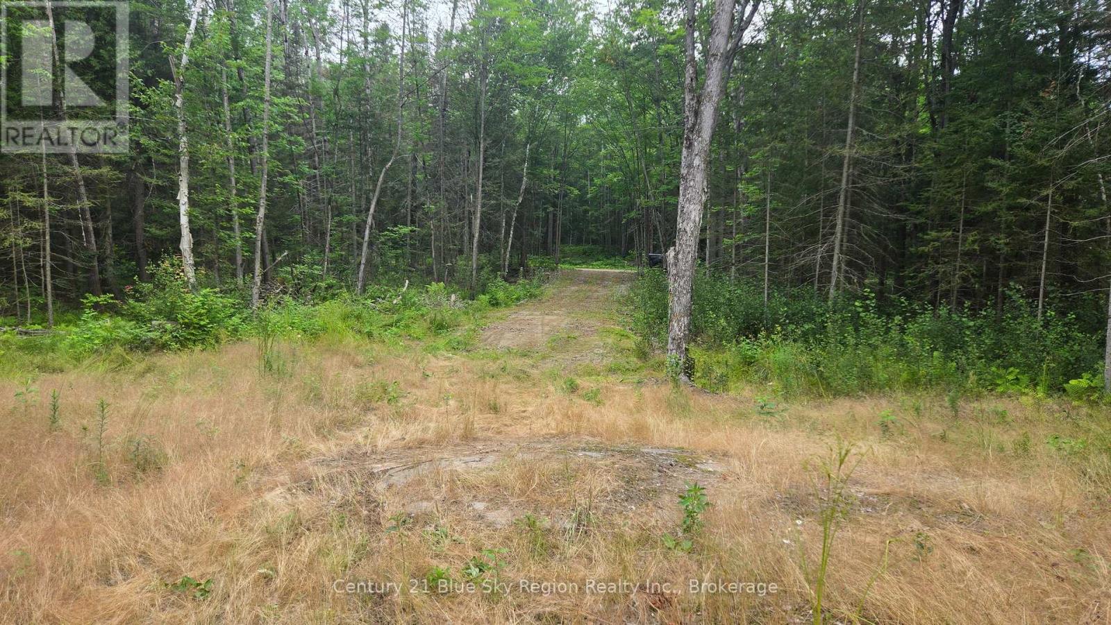 2438 Village Road, Chisholm, Ontario P0H 1Z0 - Photo 6 - X13593132