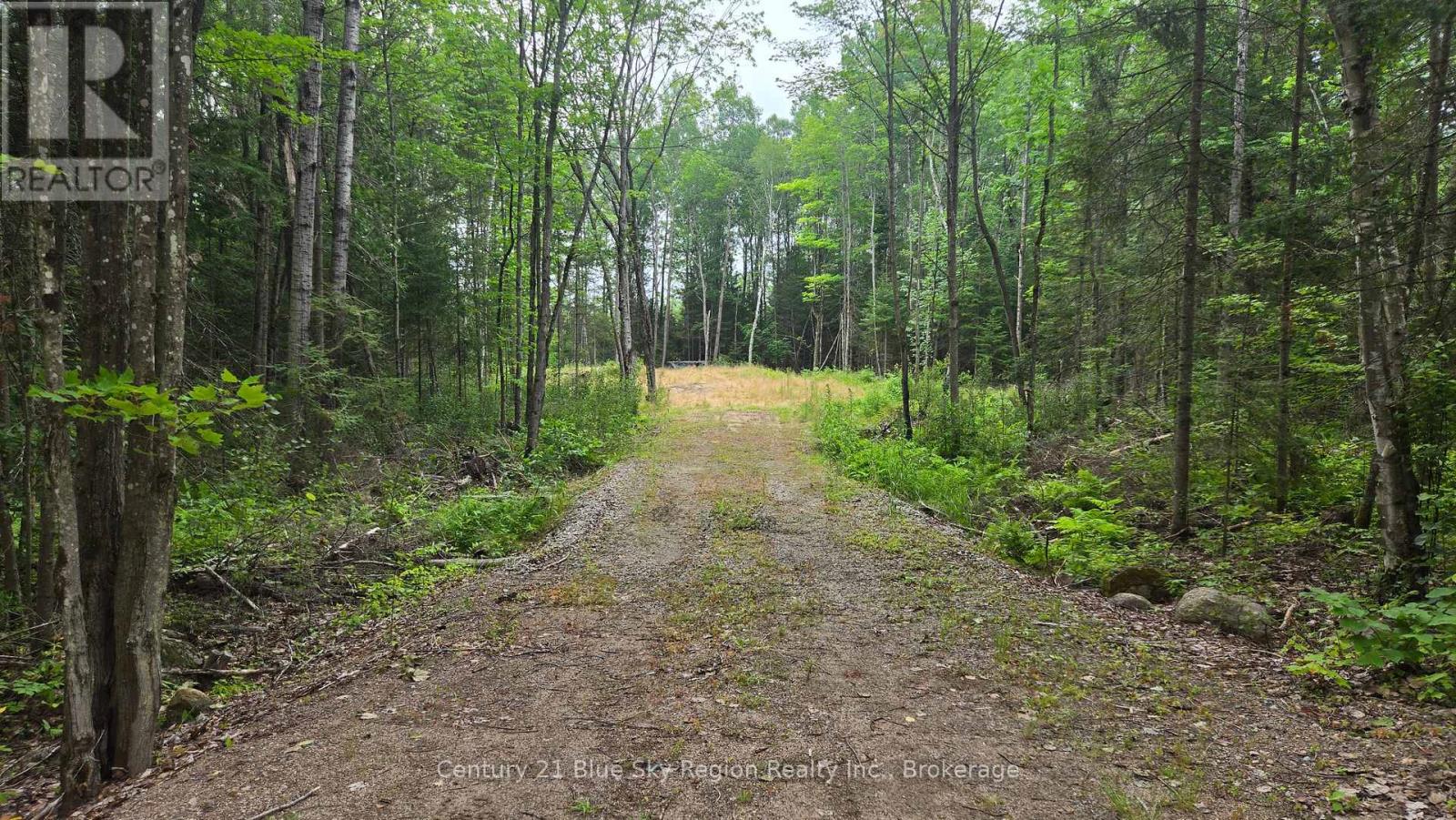 2438 Village Road, Chisholm, Ontario P0H 1Z0 - Photo 8 - X13593132