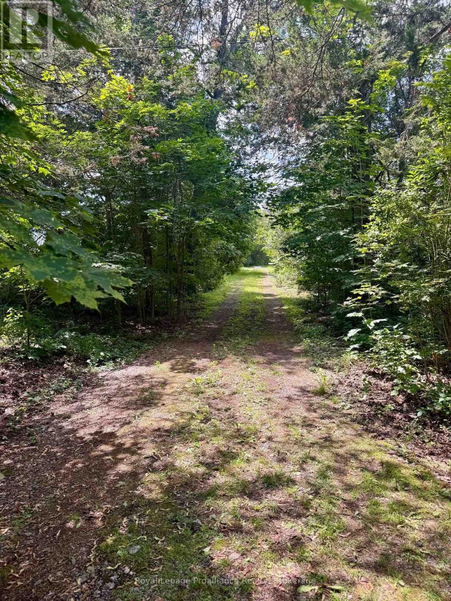 680 County Road 49, Prince Edward County (Picton), Ontario  K0K 2T0 - Photo 7 - X13590124
