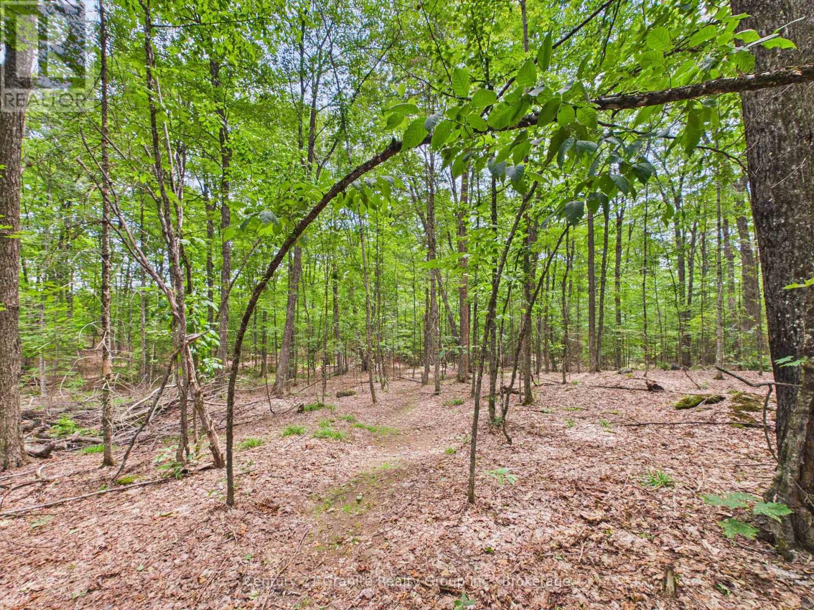 000 South Lake Road, Minden Hills, Ontario  K0M 2K0 - Photo 15 - X13593878