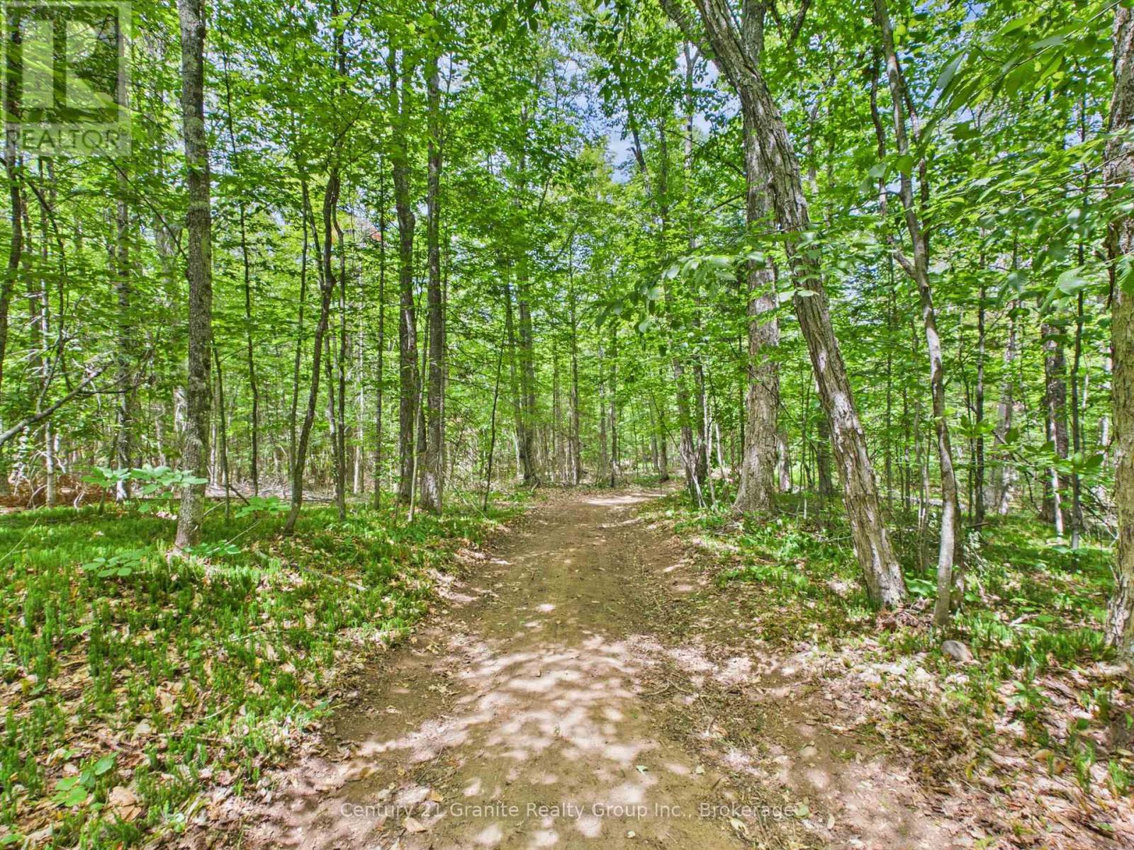 000 South Lake Road, Minden Hills, Ontario  K0M 2K0 - Photo 16 - X13593878