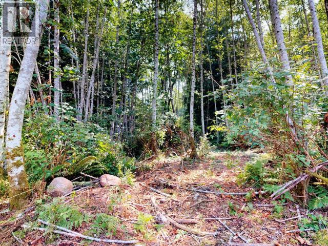 2158 Roberts Road, Powell River, British Columbia  V8A 0M8 - Photo 57 - 20083