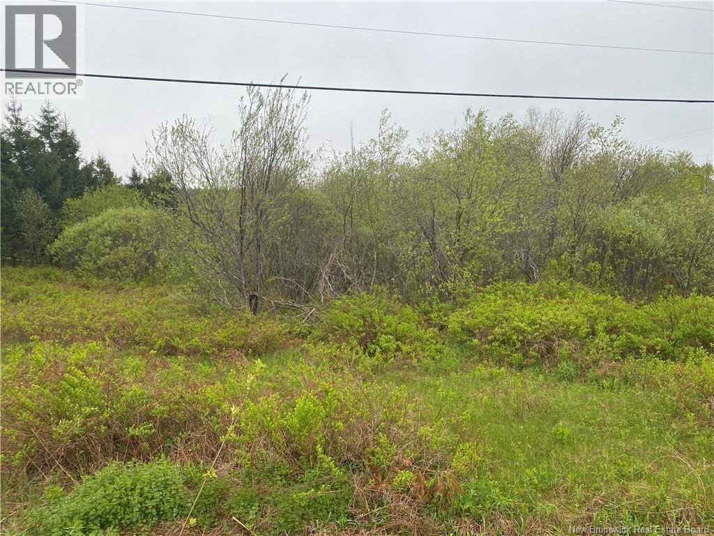 Lot Will Rogers Road, Moncton, New Brunswick  E1G 2X6 - Photo 1 - NB144567
