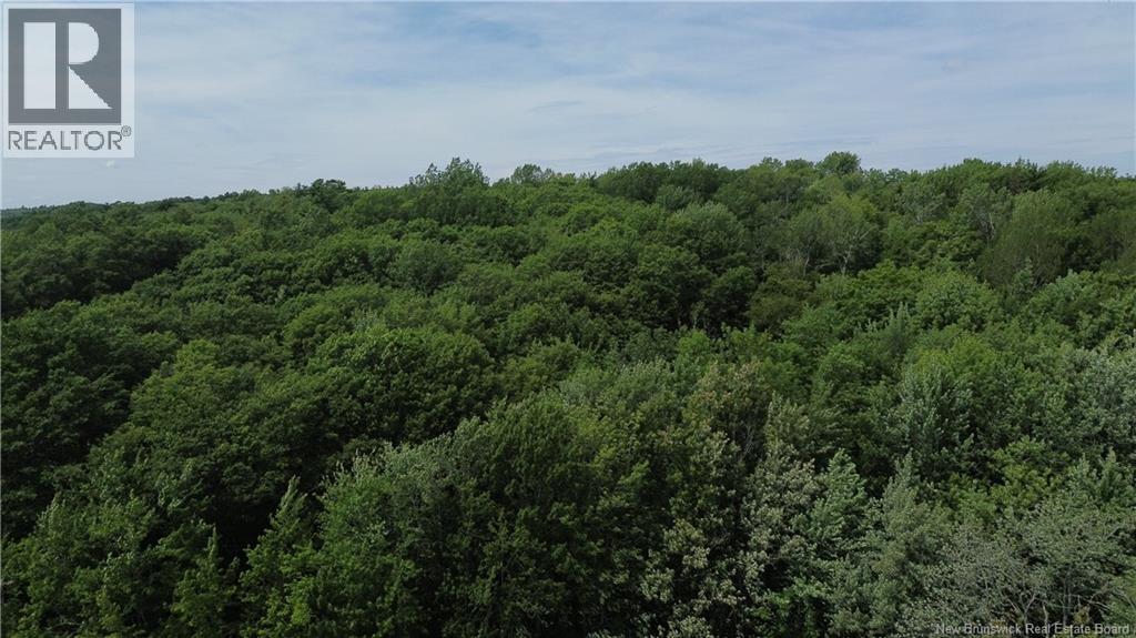Lot Elm Hill Road, Hampstead, New Brunswick  E1B 2A4 - Photo 10 - NB144500