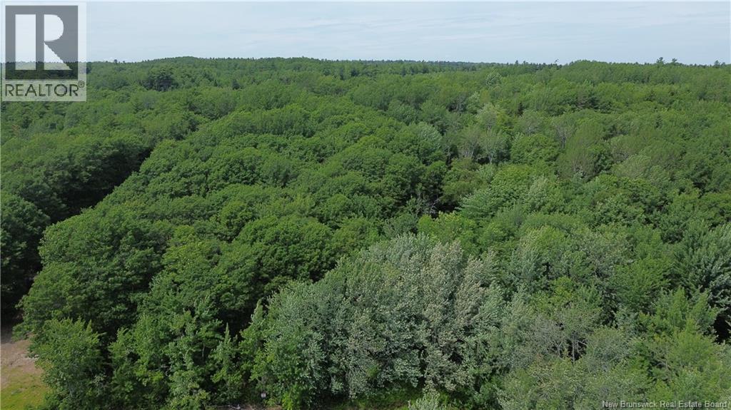 Lot Elm Hill Road, Hampstead, New Brunswick  E1B 2A4 - Photo 4 - NB144500