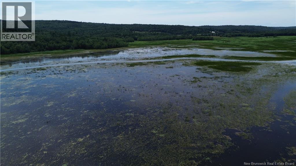 Lot Elm Hill Road, Hampstead, New Brunswick  E1B 2A4 - Photo 7 - NB144500