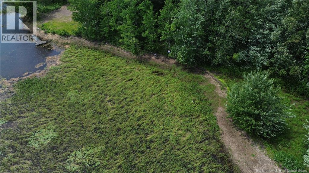 Lot Elm Hill Road, Hampstead, New Brunswick  E1B 2A4 - Photo 9 - NB144500