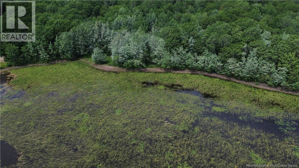 Lot Elm Hill Road, Hampstead, New Brunswick  E1B 2A4 - Photo 5 - NB144500