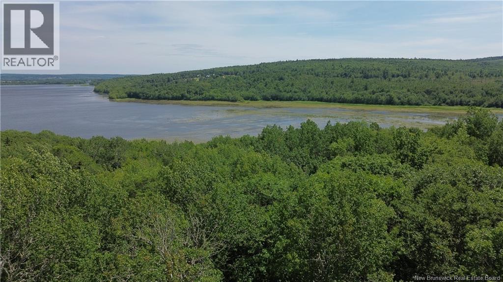 Lot Elm Hill Road, Hampstead, New Brunswick  E1B 2A4 - Photo 11 - NB144500