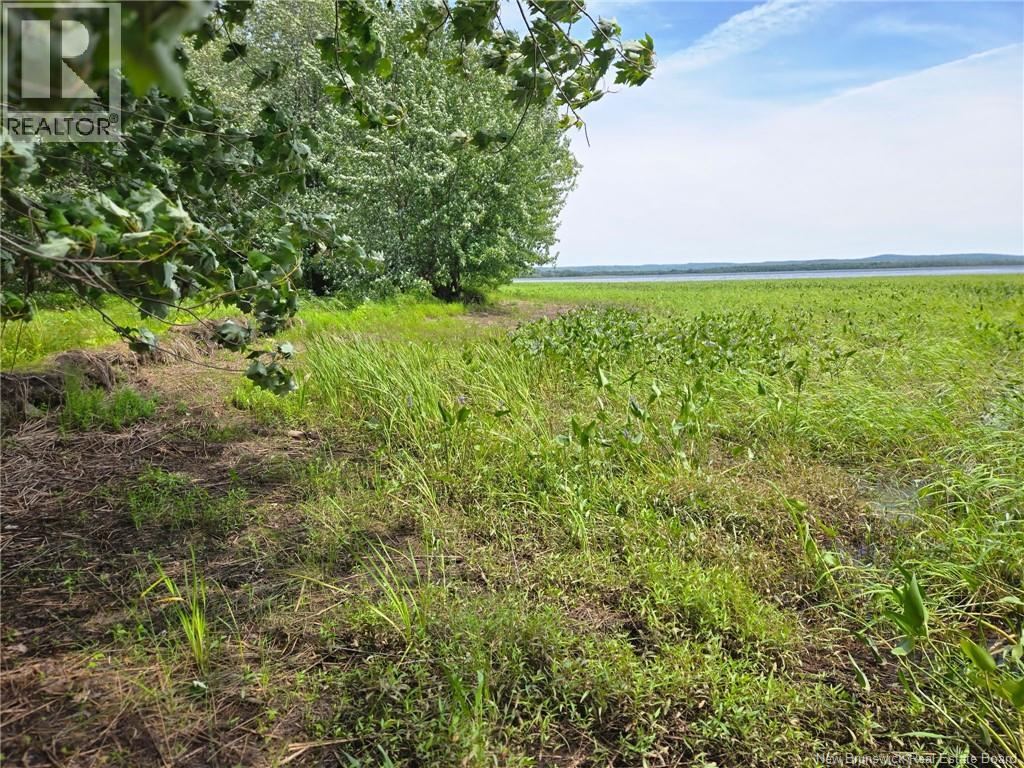 Lot Elm Hill Road, Hampstead, New Brunswick  E1B 2A4 - Photo 24 - NB144500