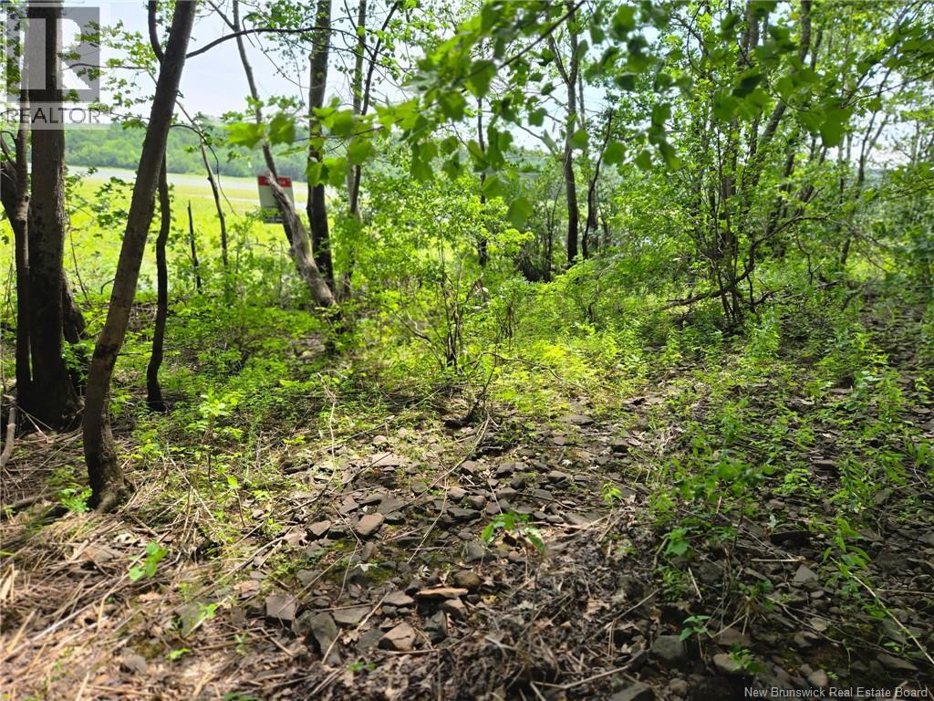 Lot Elm Hill Road, Hampstead, New Brunswick  E1B 2A4 - Photo 27 - NB144500