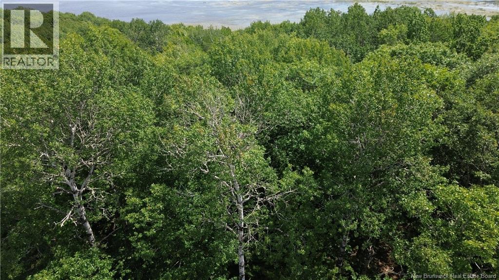 Lot Elm Hill Road, Hampstead, New Brunswick  E1B 2A4 - Photo 29 - NB144500
