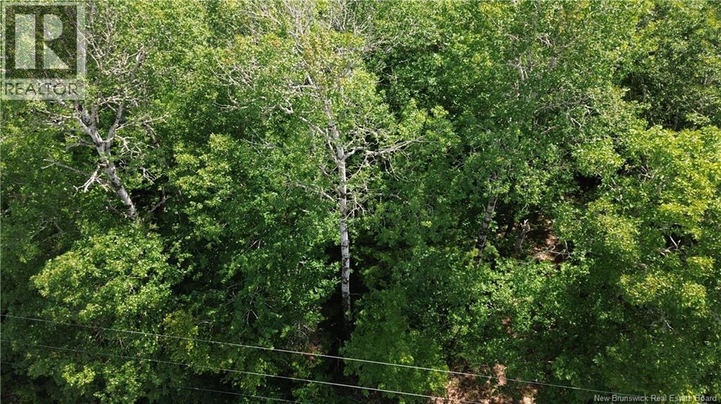 Lot Elm Hill Road, Hampstead, New Brunswick  E1B 2A4 - Photo 30 - NB144500