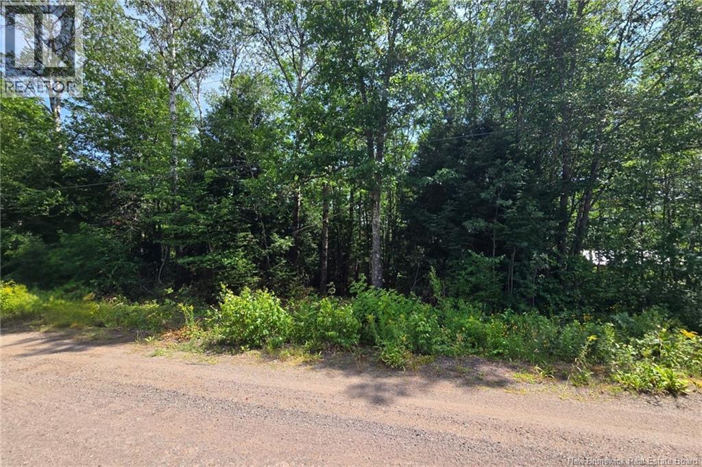 Lot Elm Hill Road, Hampstead, New Brunswick  E1B 2A4 - Photo 16 - NB144500
