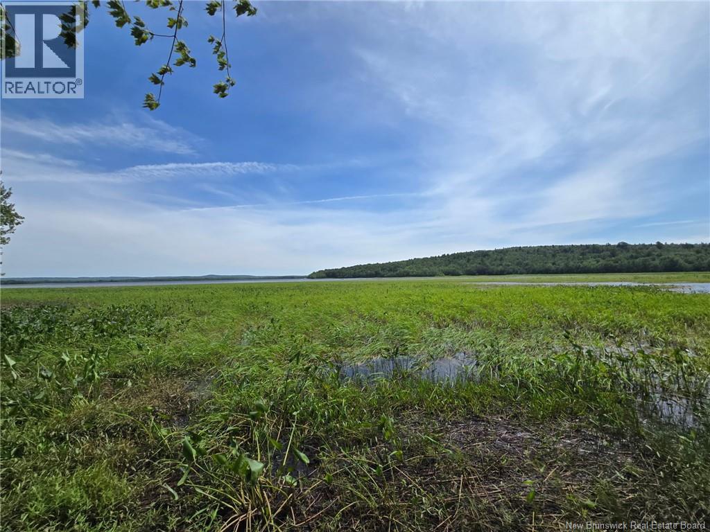 Lot Elm Hill Road, Hampstead, New Brunswick  E1B 2A4 - Photo 21 - NB144500