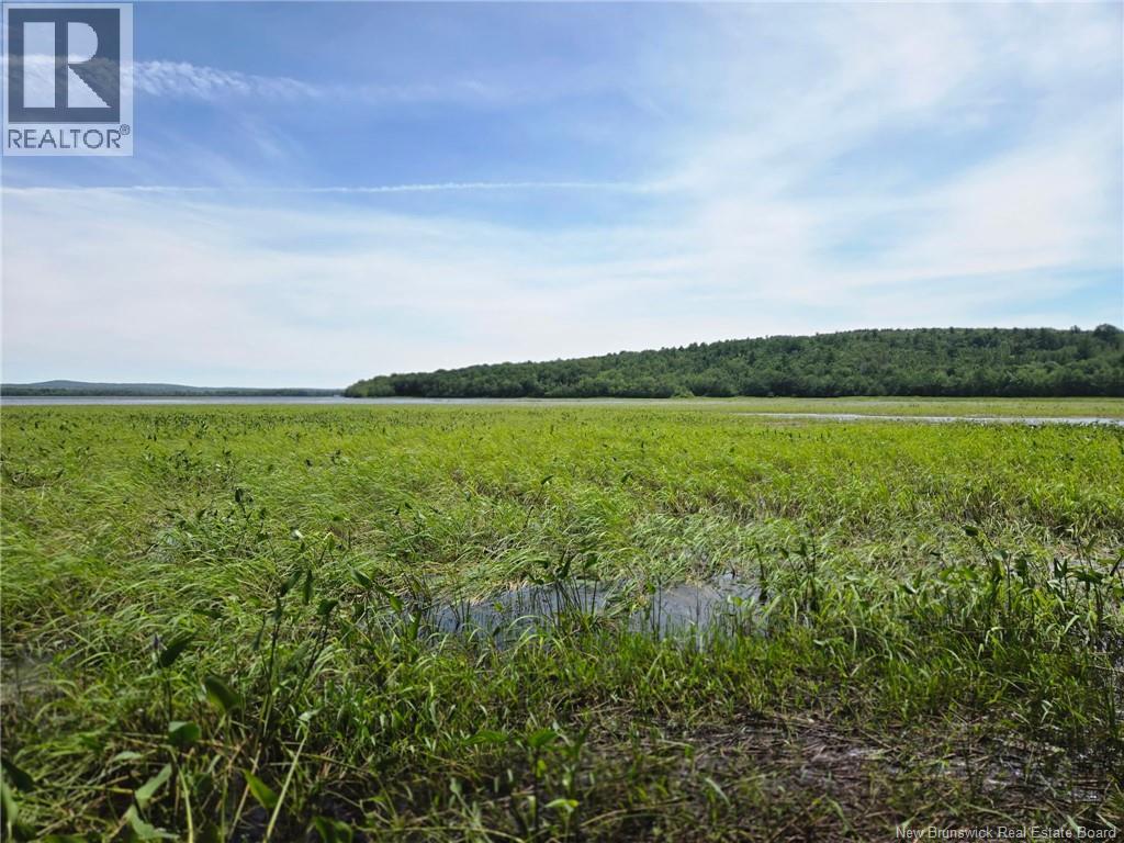 Lot Elm Hill Road, Hampstead, New Brunswick  E1B 2A4 - Photo 22 - NB144500