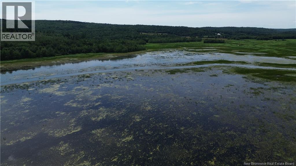 Lot Elm Hill Road, Hampstead, New Brunswick  E1B 2A4 - Photo 6 - NB144500