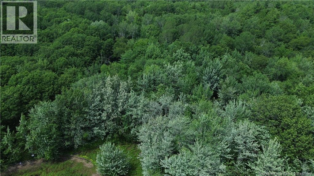 Lot Elm Hill Road, Hampstead, New Brunswick  E1B 2A4 - Photo 28 - NB144500