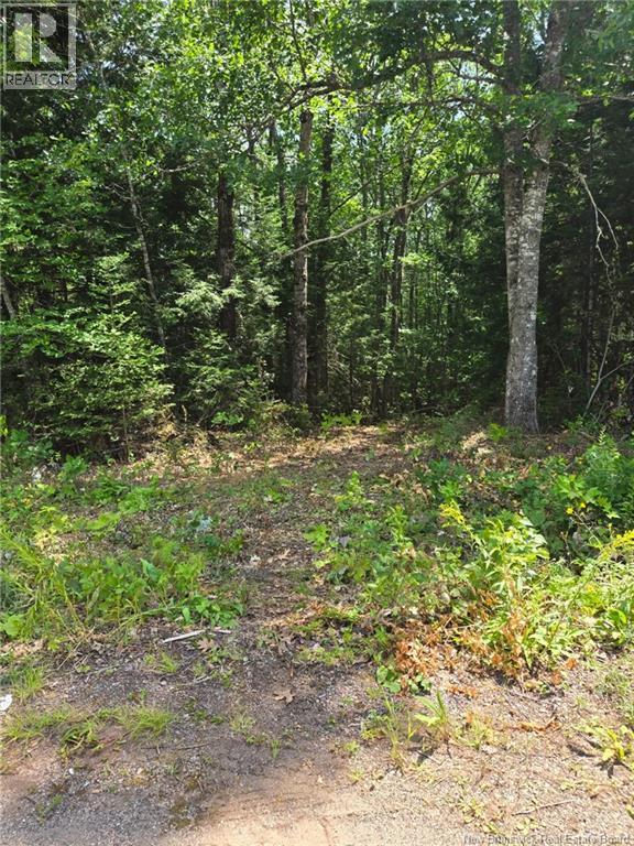 Lot Elm Hill Road, Hampstead, New Brunswick  E1B 2A4 - Photo 18 - NB144500