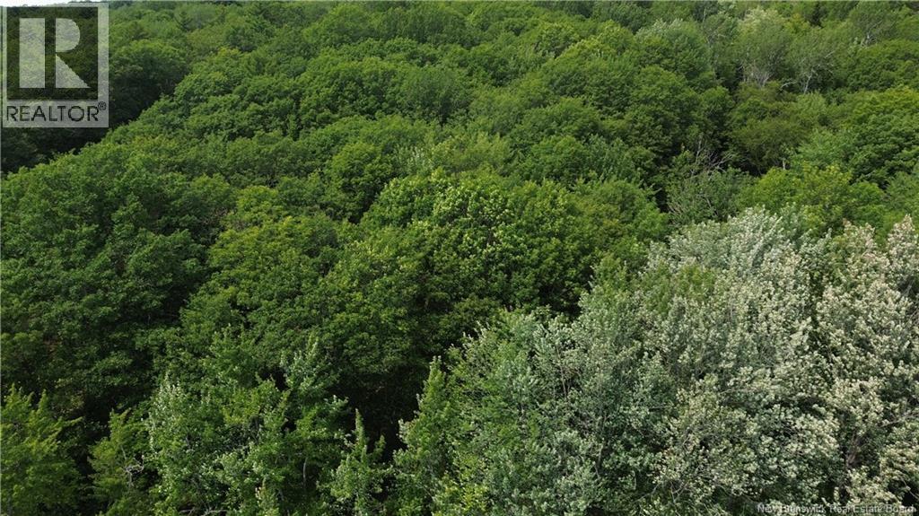 Lot Elm Hill Road, Hampstead, New Brunswick  E1B 2A4 - Photo 12 - NB144500