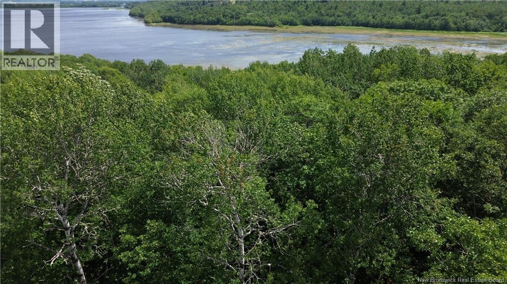 Lot Elm Hill Road, Hampstead, New Brunswick  E1B 2A4 - Photo 13 - NB144500