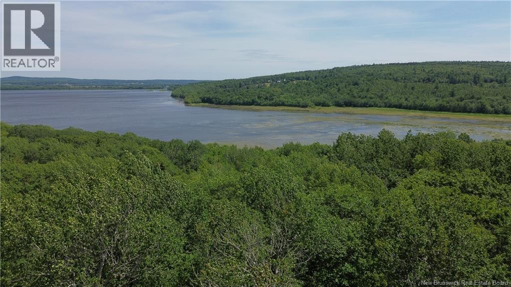 Lot Elm Hill Road, Hampstead, New Brunswick  E1B 2A4 - Photo 14 - NB144500