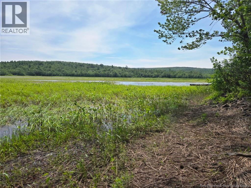 Lot Elm Hill Road, Hampstead, New Brunswick  E1B 2A4 - Photo 23 - NB144500