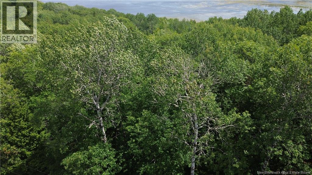 Lot Elm Hill Road, Hampstead, New Brunswick  E1B 2A4 - Photo 31 - NB144500