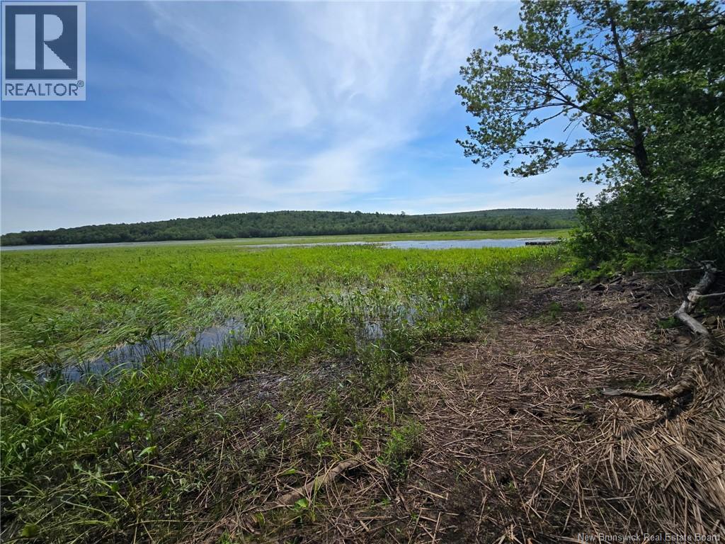 Lot Elm Hill Road, Hampstead, New Brunswick  E1B 2A4 - Photo 19 - NB144500