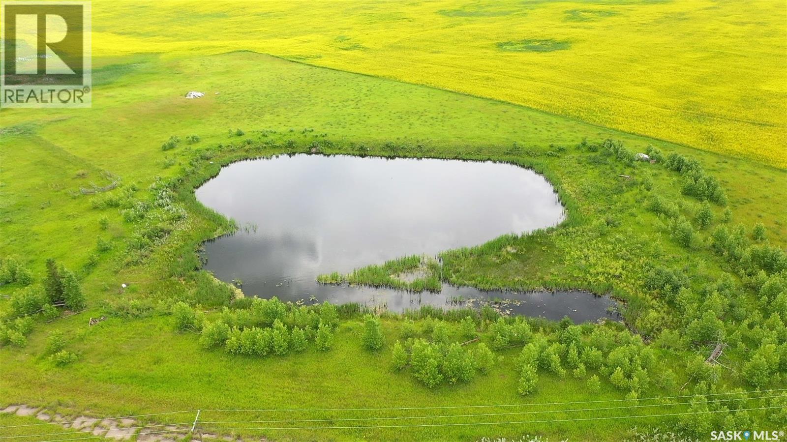 13 Acres ,south Of Orcadia, Orkney Rm No. 244, Saskatchewan S3N 4C6 - Photo 10 - SK041659