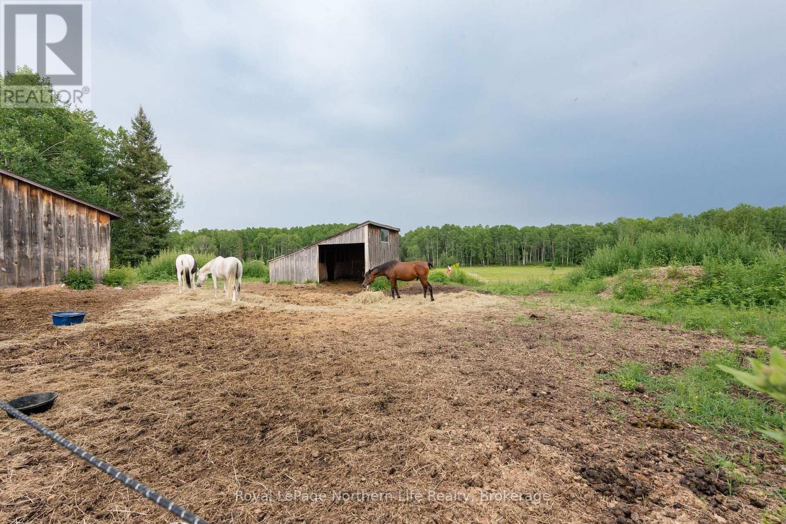 312 Johnson Road, East Ferris, Ontario  P0H 1K0 - Photo 8 - X13594186