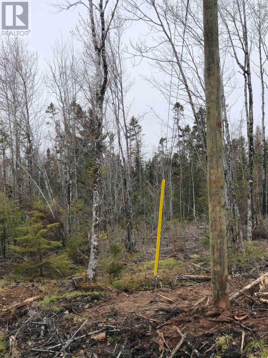 Lot 6 Tattrie Settlement Road, French River, Nova Scotia  B0K 1V0 - Photo 10 - 202617542