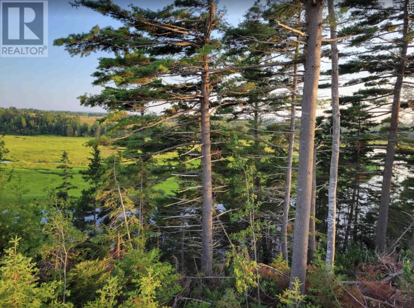 Lot 6 Tattrie Settlement Road, French River, Nova Scotia  B0K 1V0 - Photo 5 - 202617542