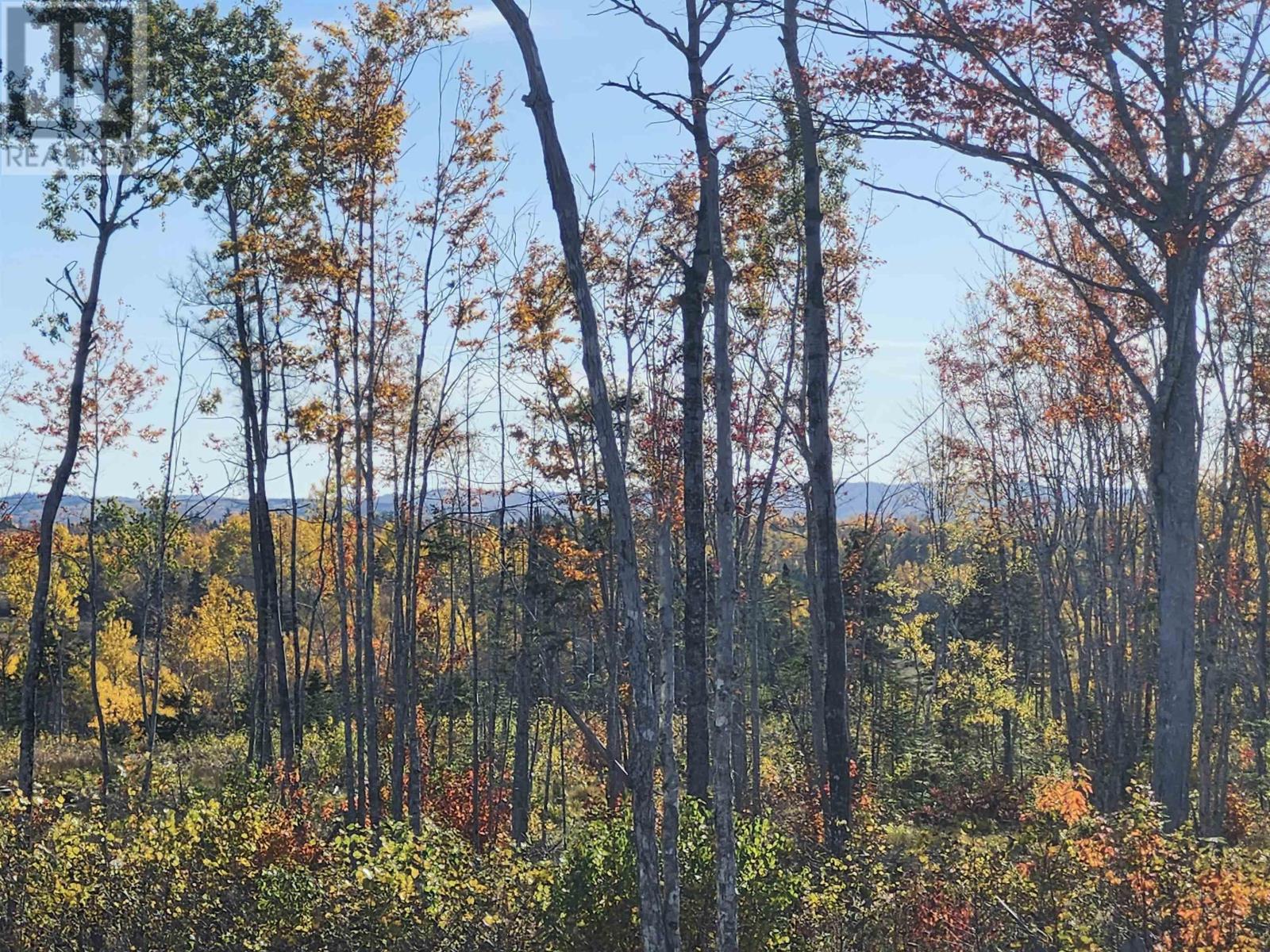 Lot 6 Tattrie Settlement Road, French River, Nova Scotia  B0K 1V0 - Photo 9 - 202617542