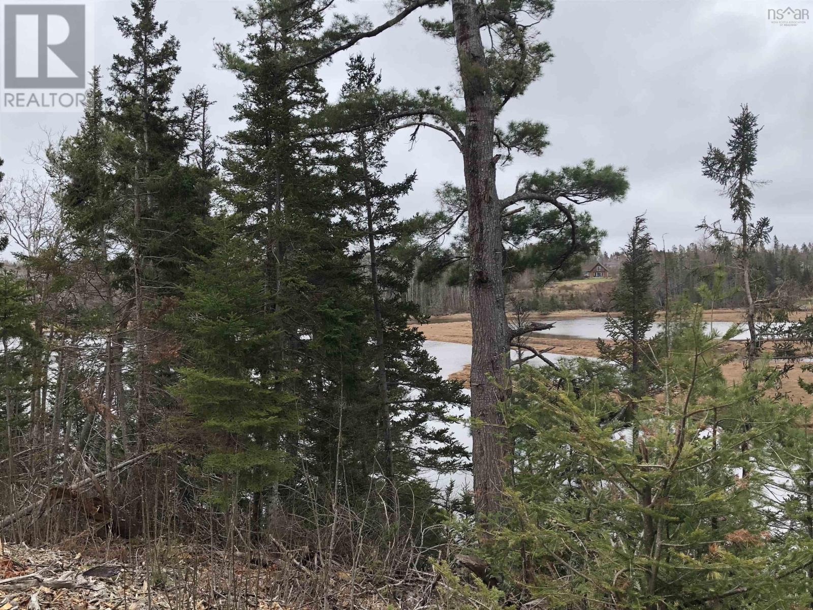 Lot 6 Tattrie Settlement Road, French River, Nova Scotia  B0K 1V0 - Photo 6 - 202617542