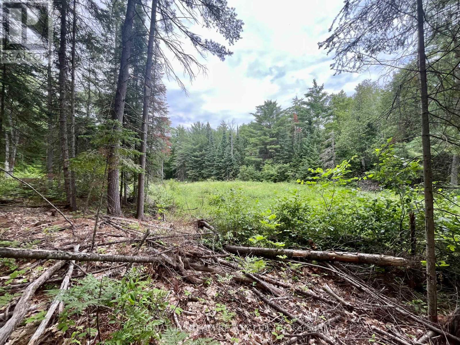 1011 Mcgrath Road, Bonnechere Valley, Ontario  K0J 1T0 - Photo 10 - X13594420
