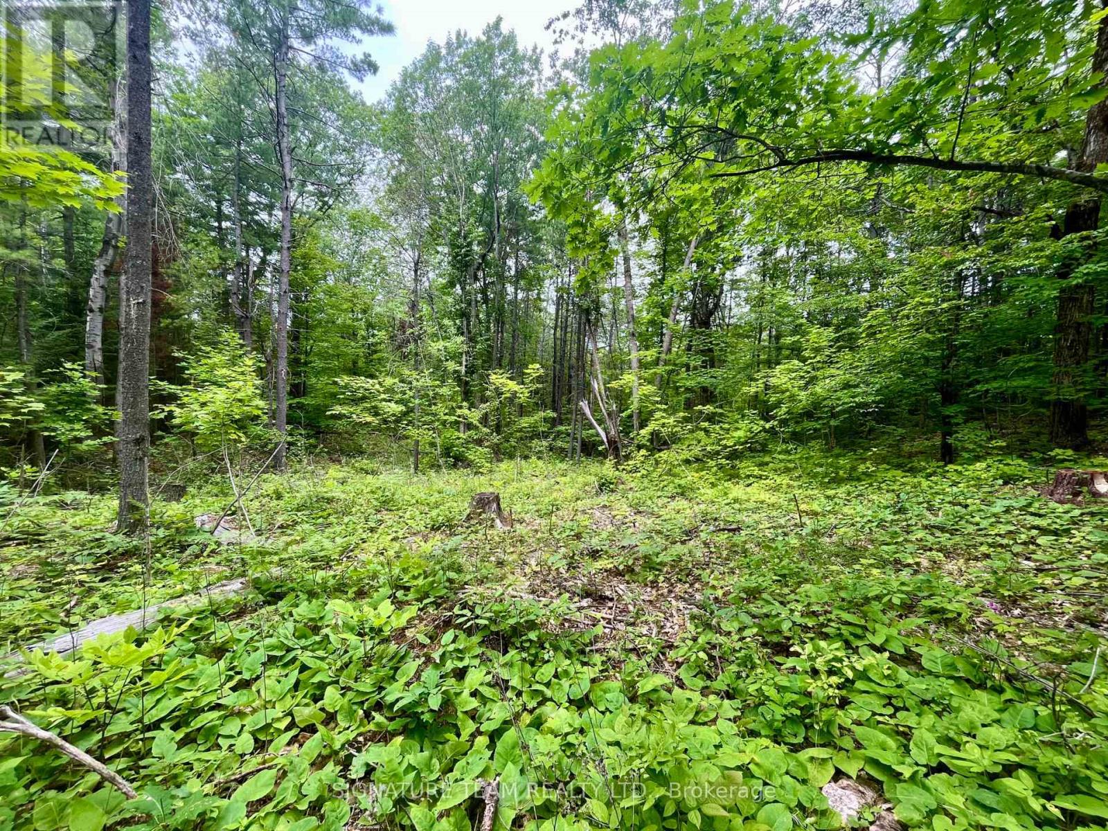 1011 Mcgrath Road, Bonnechere Valley, Ontario  K0J 1T0 - Photo 11 - X13594420
