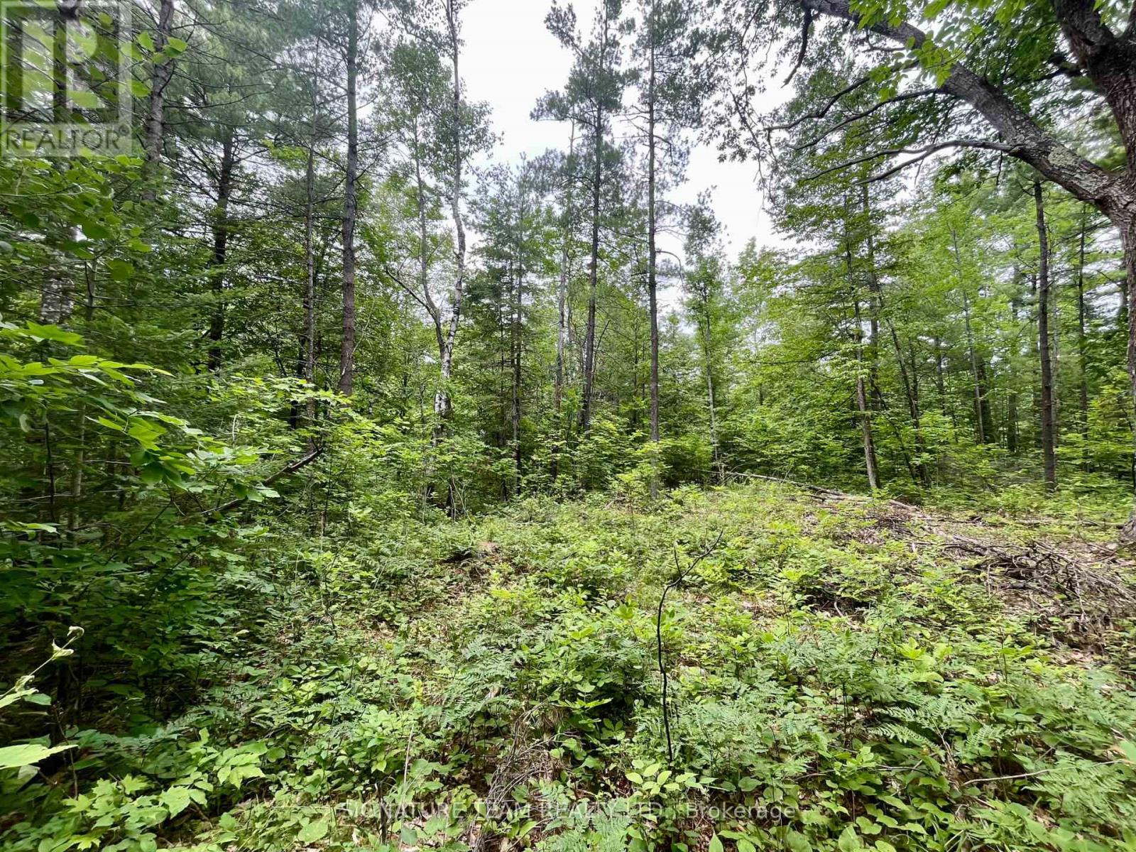 1011 Mcgrath Road, Bonnechere Valley, Ontario  K0J 1T0 - Photo 12 - X13594420