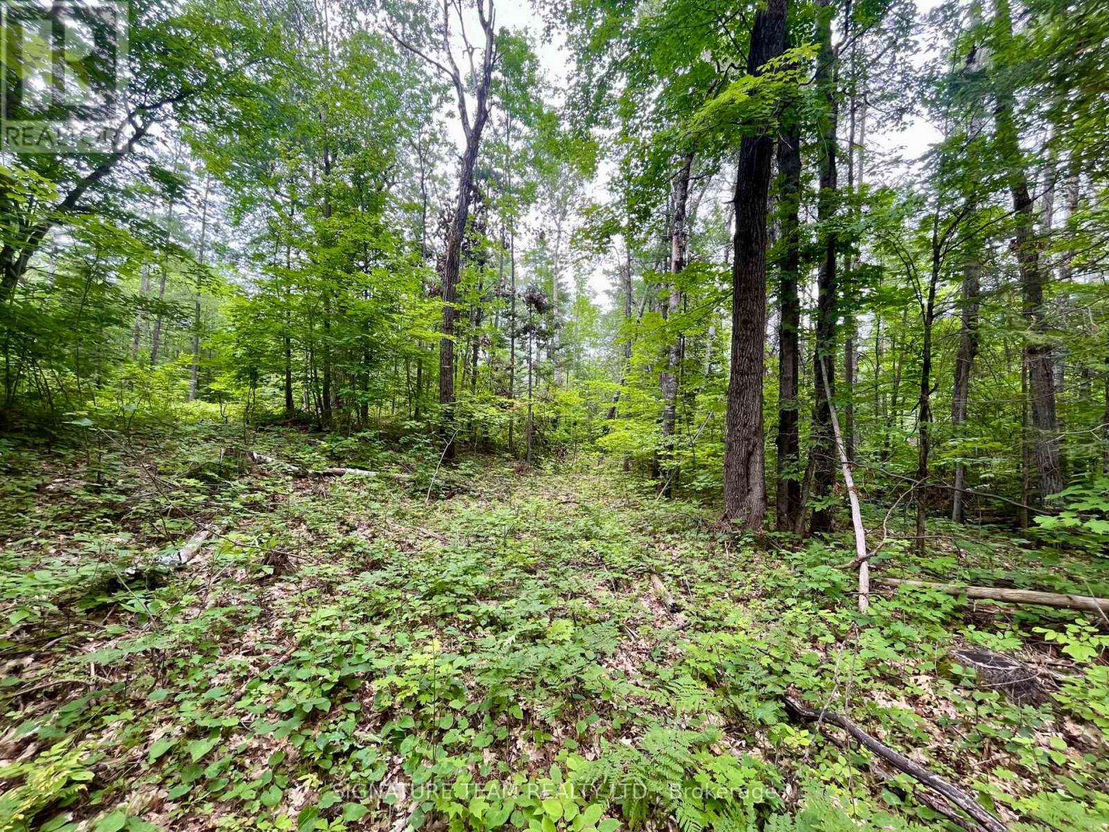 1011 Mcgrath Road, Bonnechere Valley, Ontario  K0J 1T0 - Photo 13 - X13594420