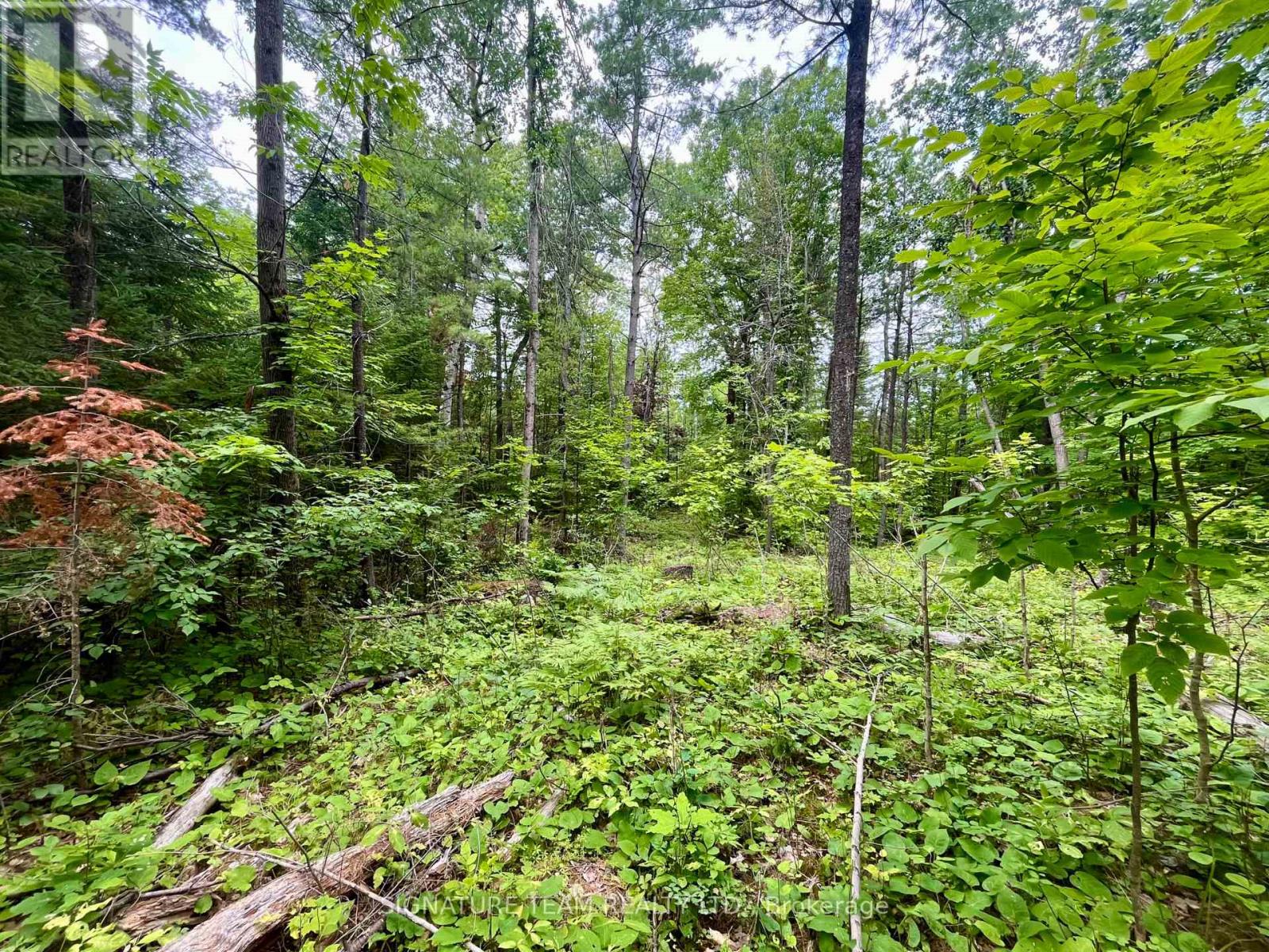 1011 Mcgrath Road, Bonnechere Valley, Ontario  K0J 1T0 - Photo 14 - X13594420