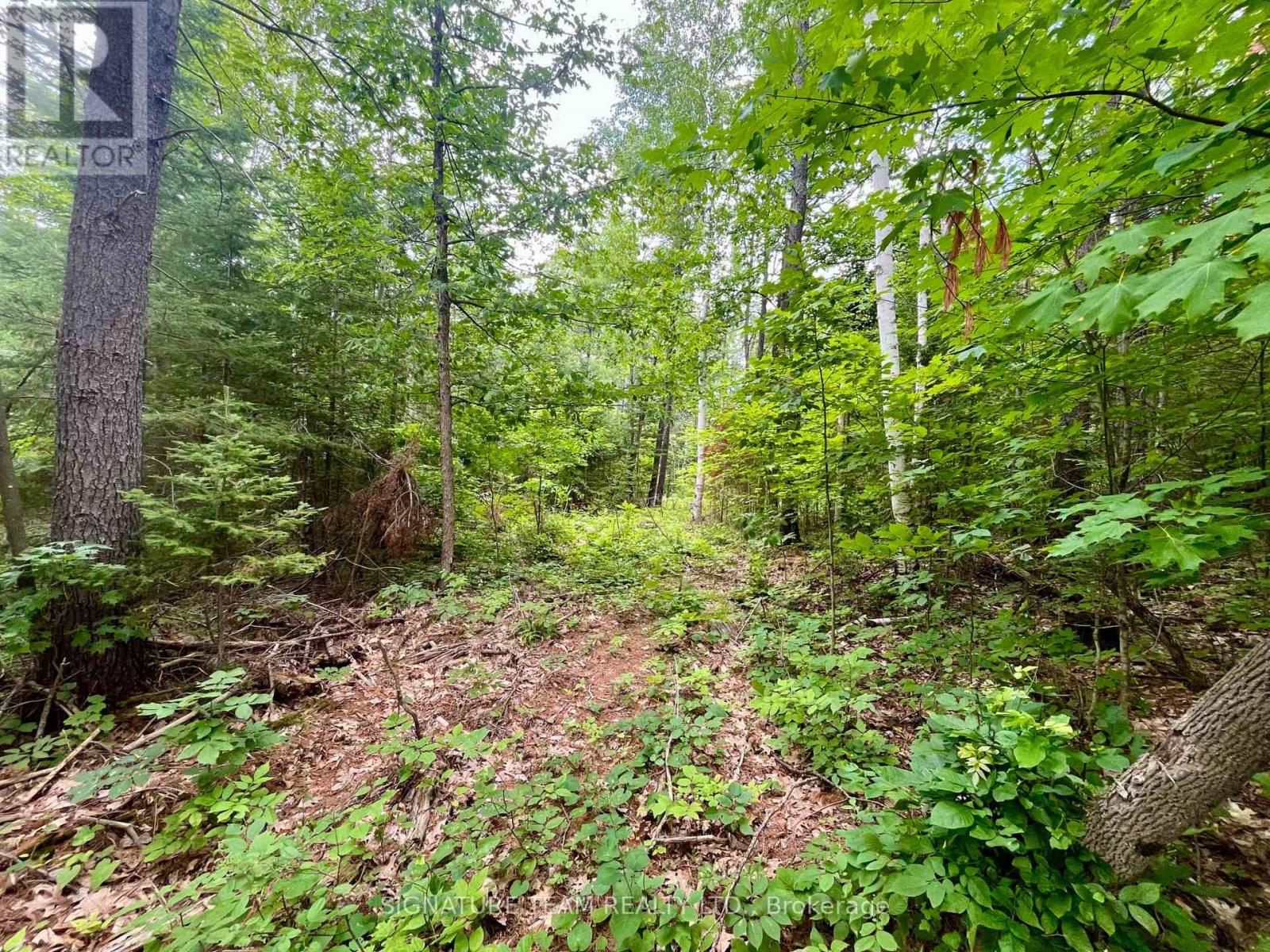 1011 Mcgrath Road, Bonnechere Valley, Ontario  K0J 1T0 - Photo 15 - X13594420