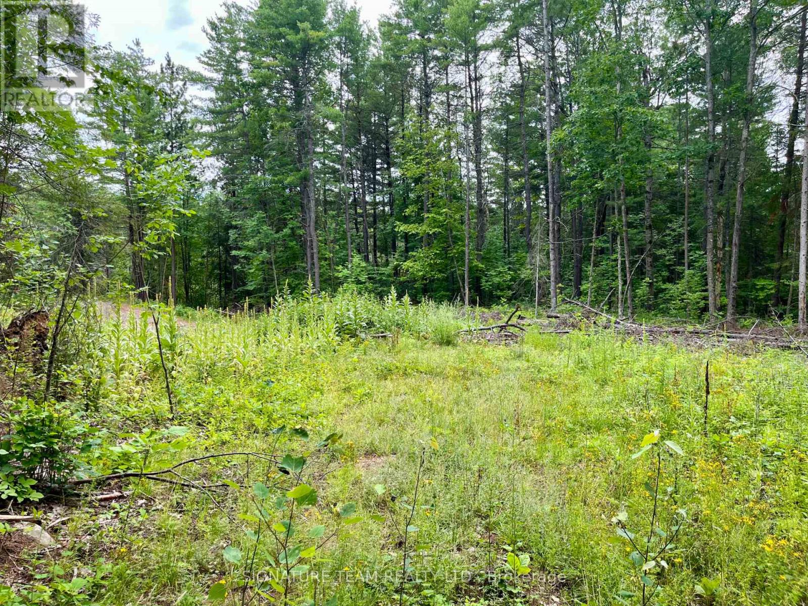 1011 Mcgrath Road, Bonnechere Valley, Ontario  K0J 1T0 - Photo 17 - X13594420