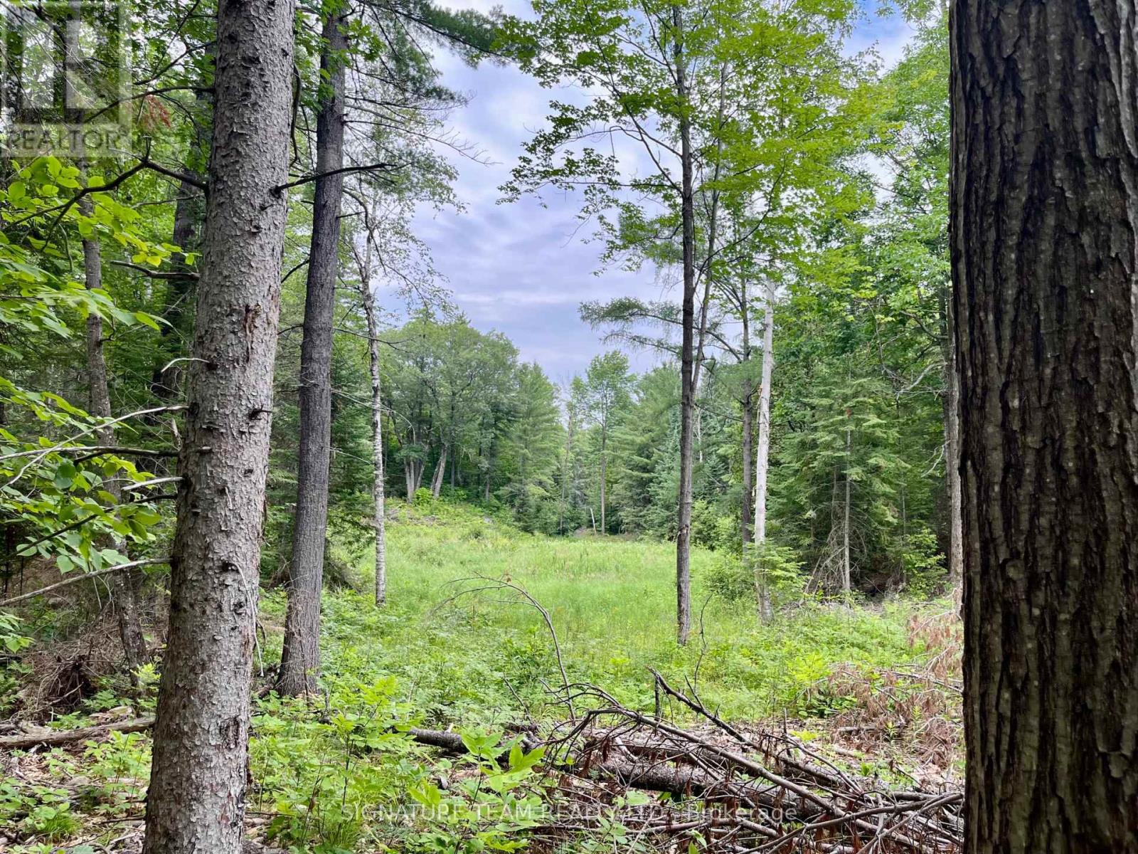 1011 Mcgrath Road, Bonnechere Valley, Ontario  K0J 1T0 - Photo 18 - X13594420
