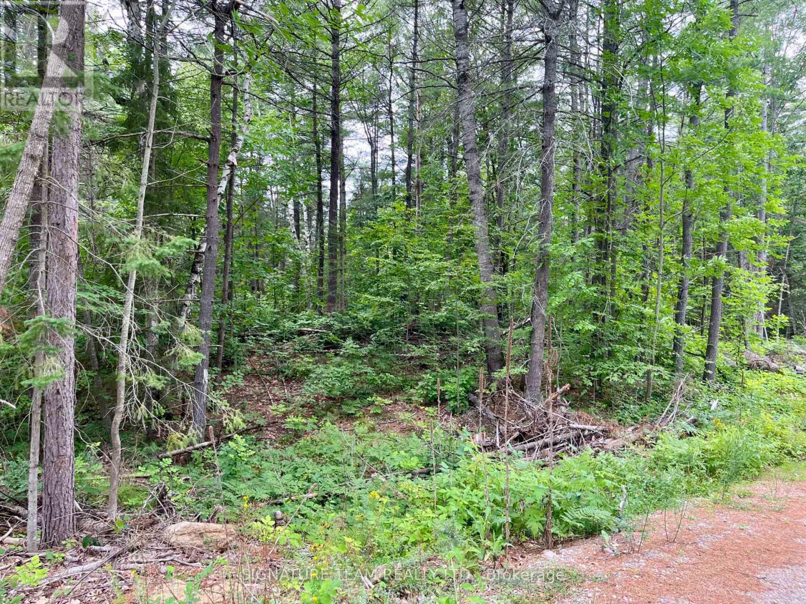 1011 Mcgrath Road, Bonnechere Valley, Ontario  K0J 1T0 - Photo 19 - X13594420