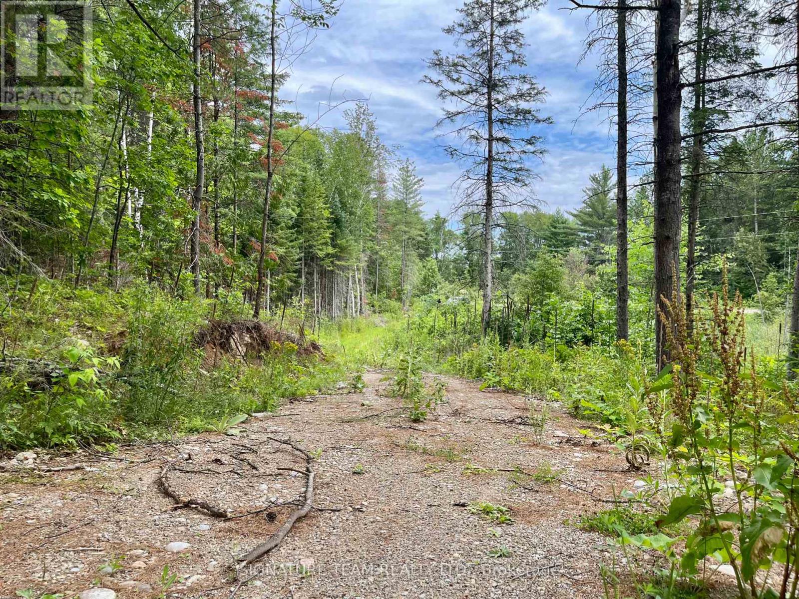 1011 Mcgrath Road, Bonnechere Valley, Ontario  K0J 1T0 - Photo 22 - X13594420