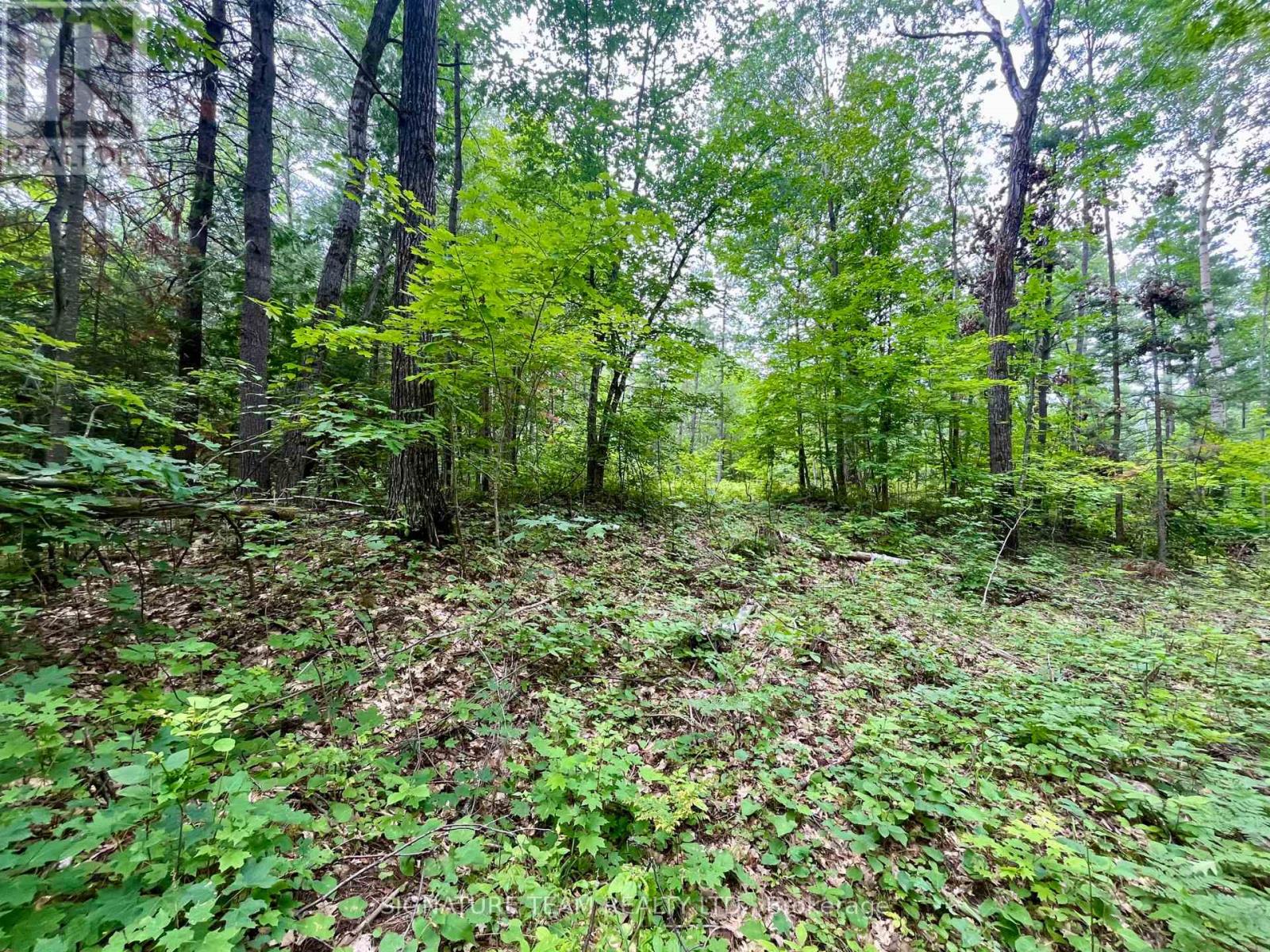 1011 Mcgrath Road, Bonnechere Valley, Ontario  K0J 1T0 - Photo 25 - X13594420