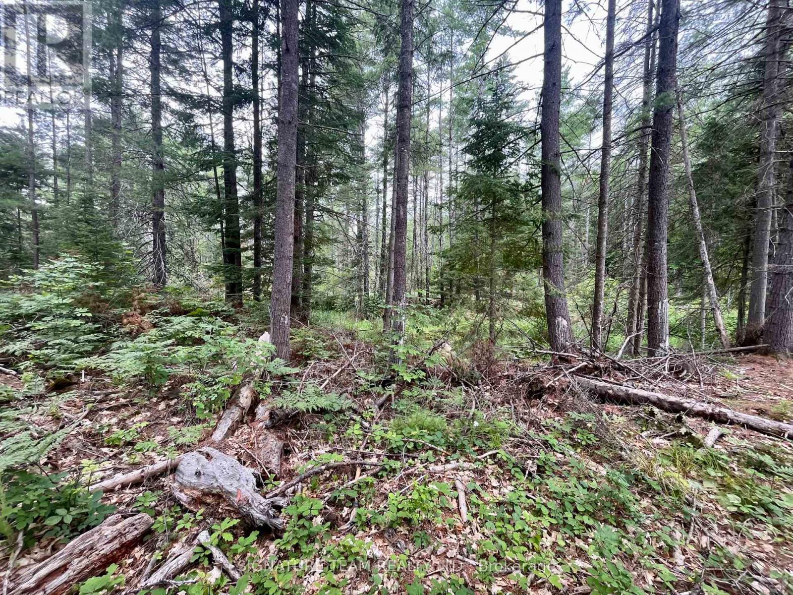 1011 Mcgrath Road, Bonnechere Valley, Ontario  K0J 1T0 - Photo 26 - X13594420